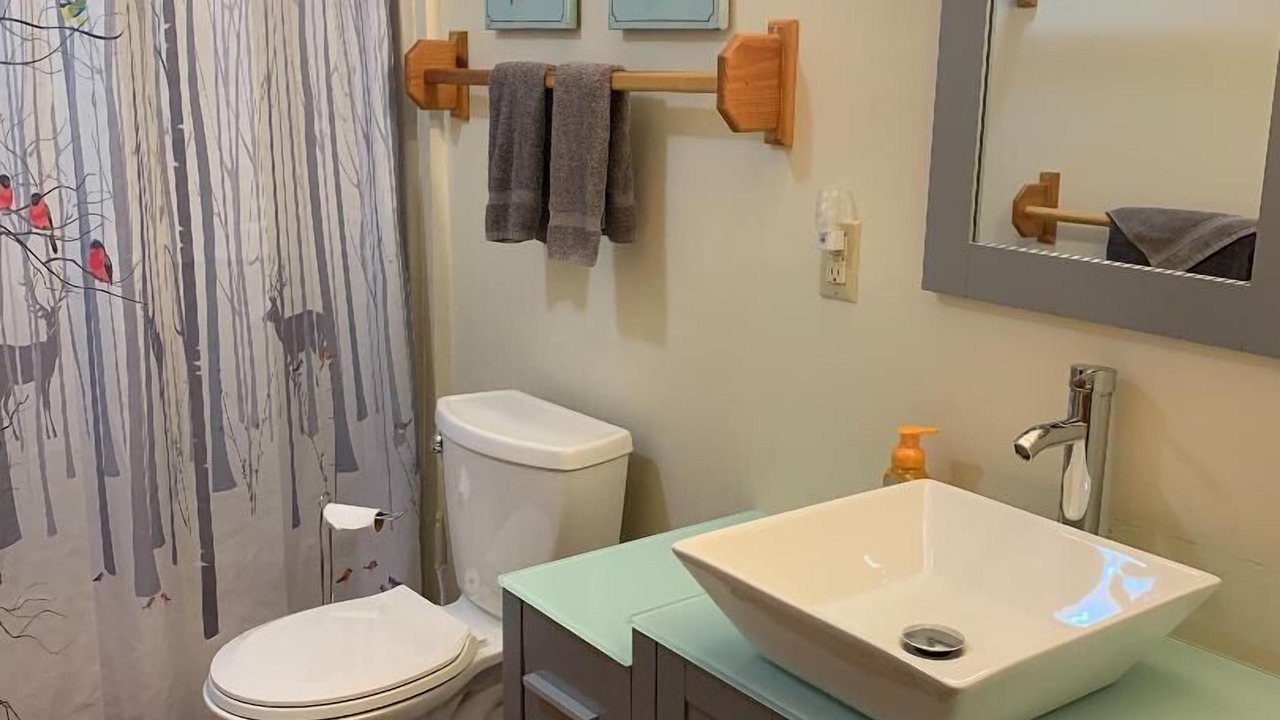 Photo of Bathroom in Ellicottville