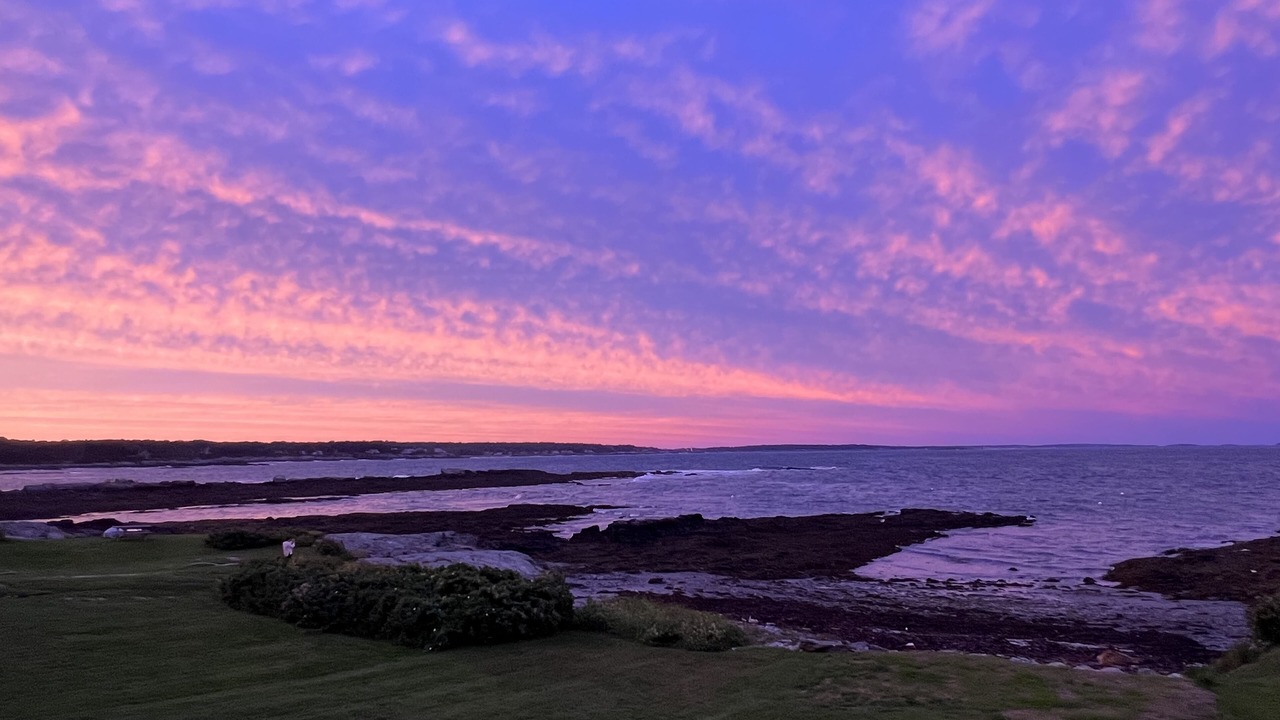 Photo of Outdoor in Pond Cove