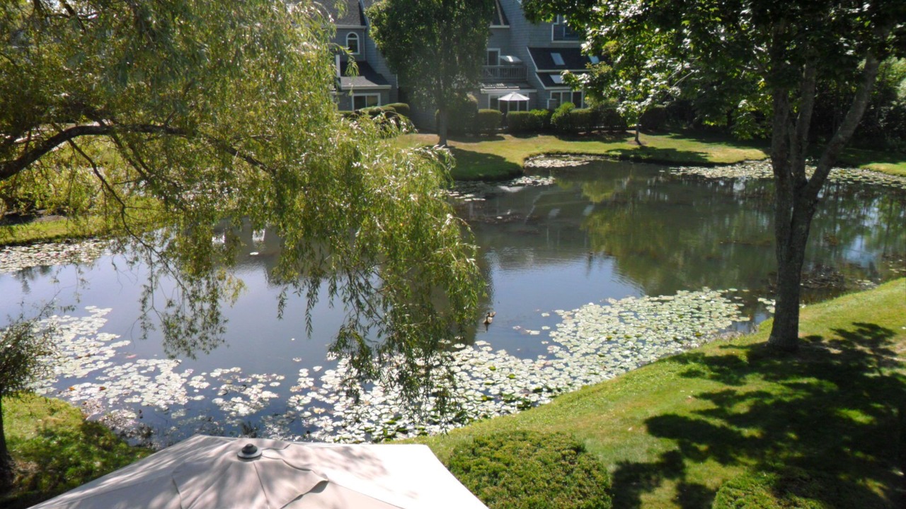 Photo of Outdoor in Ocean Park