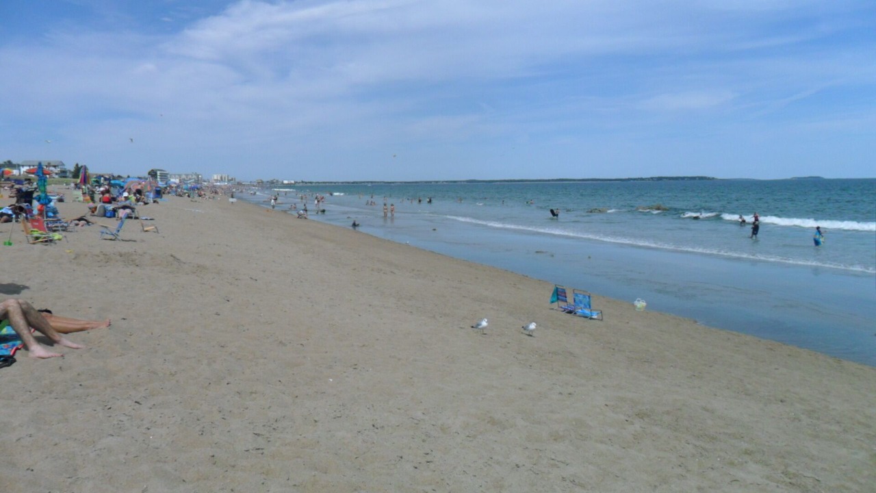 Photo of Others in Ocean Park