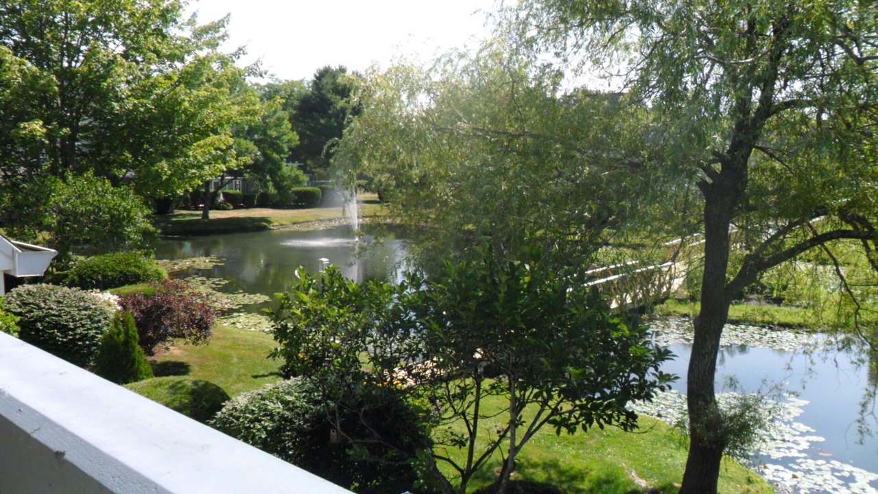 Photo of Outdoor in Ocean Park