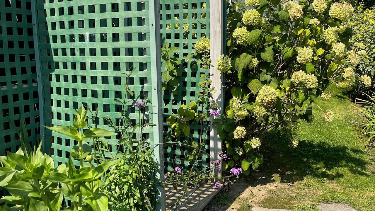 Photo of Outdoor in Woolwich