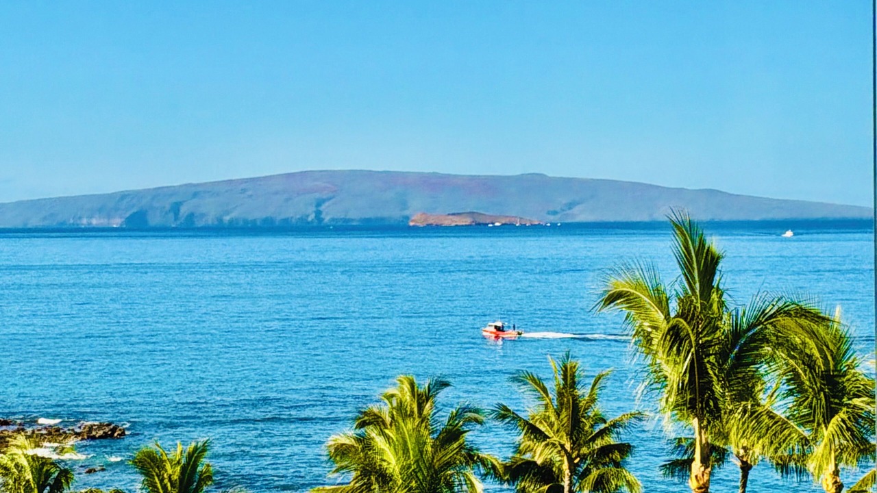Photo of Others in Wailea