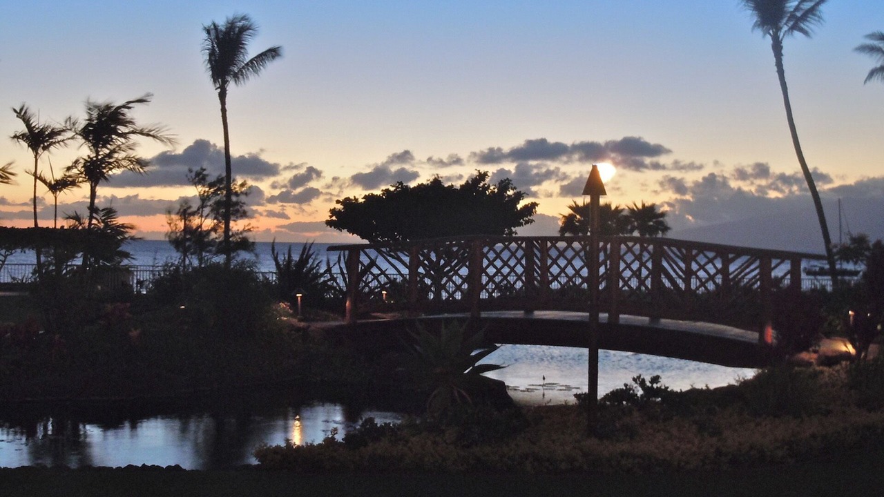 Photo of Others in Kaanapali