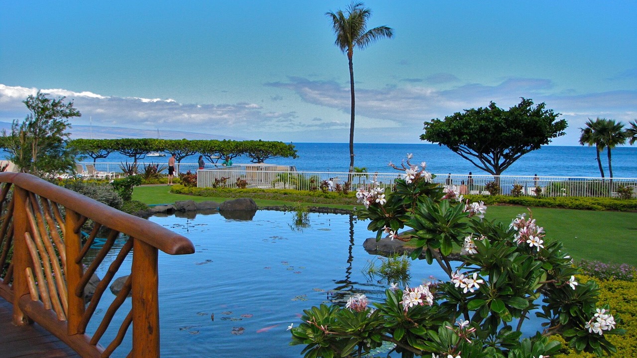 Photo of Others in Kaanapali