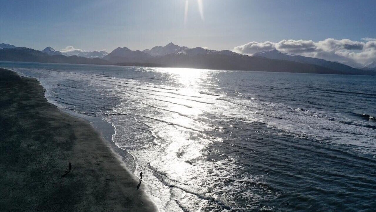 Photo of Others in Homer