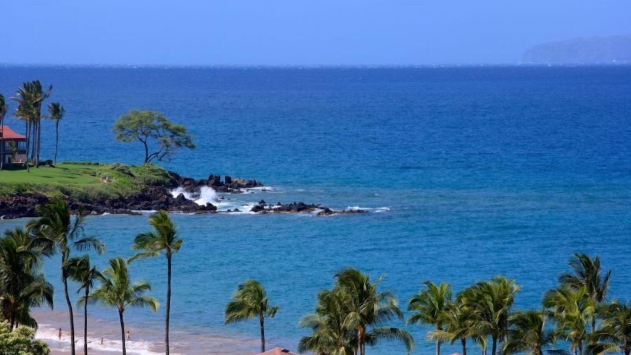 Photo of Others in Wailea