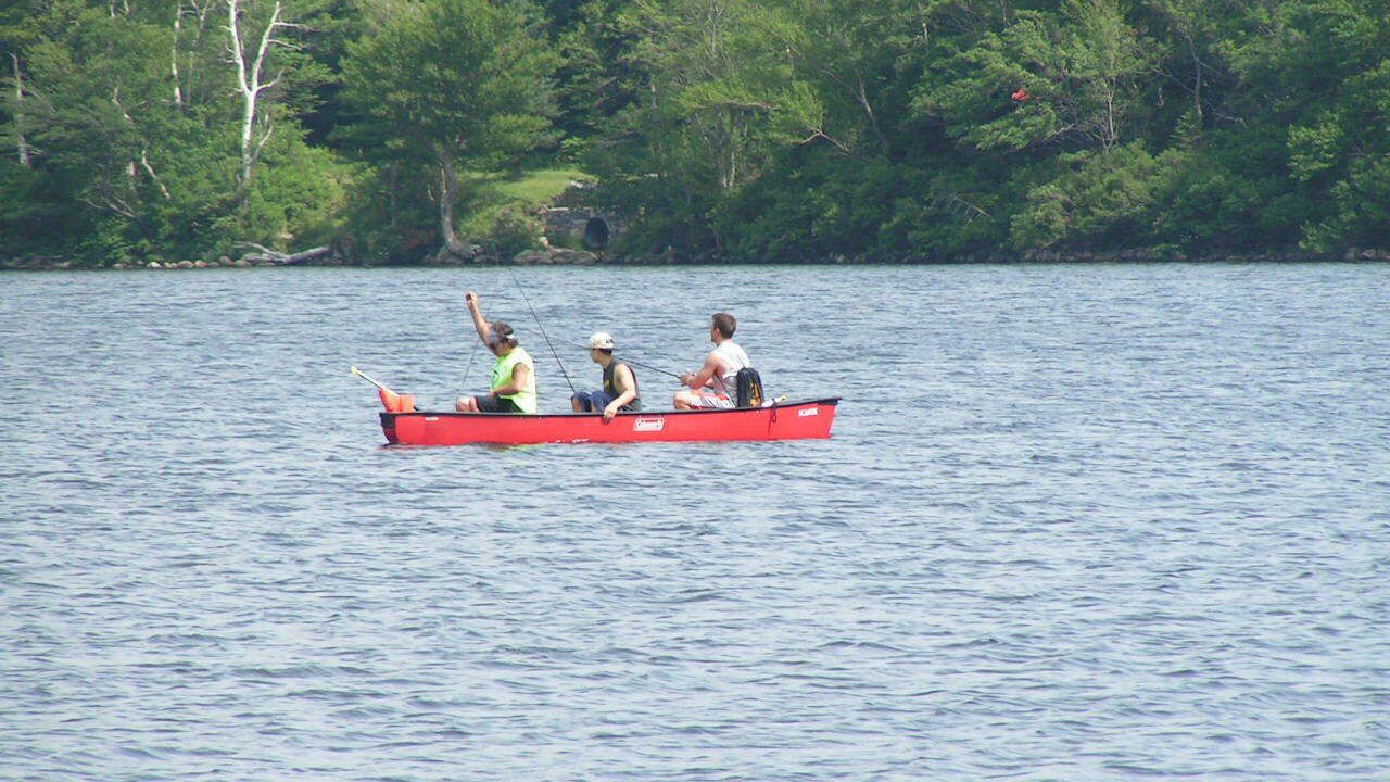 Photo of Others in Twin Mountain