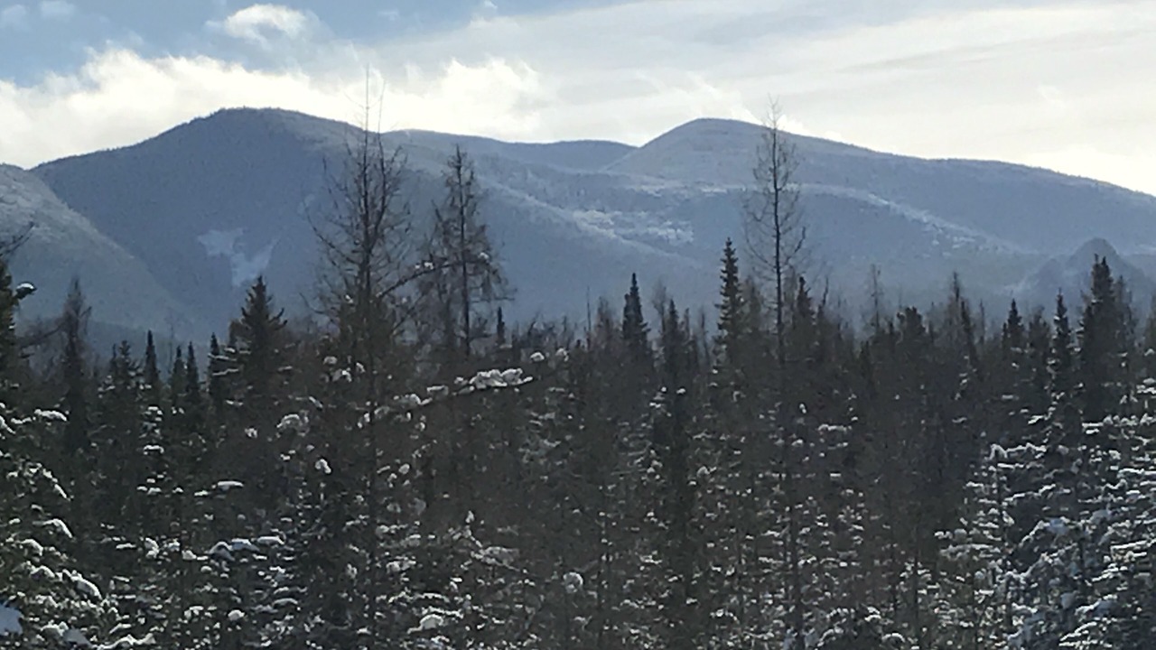 Photo of Others in Twin Mountain
