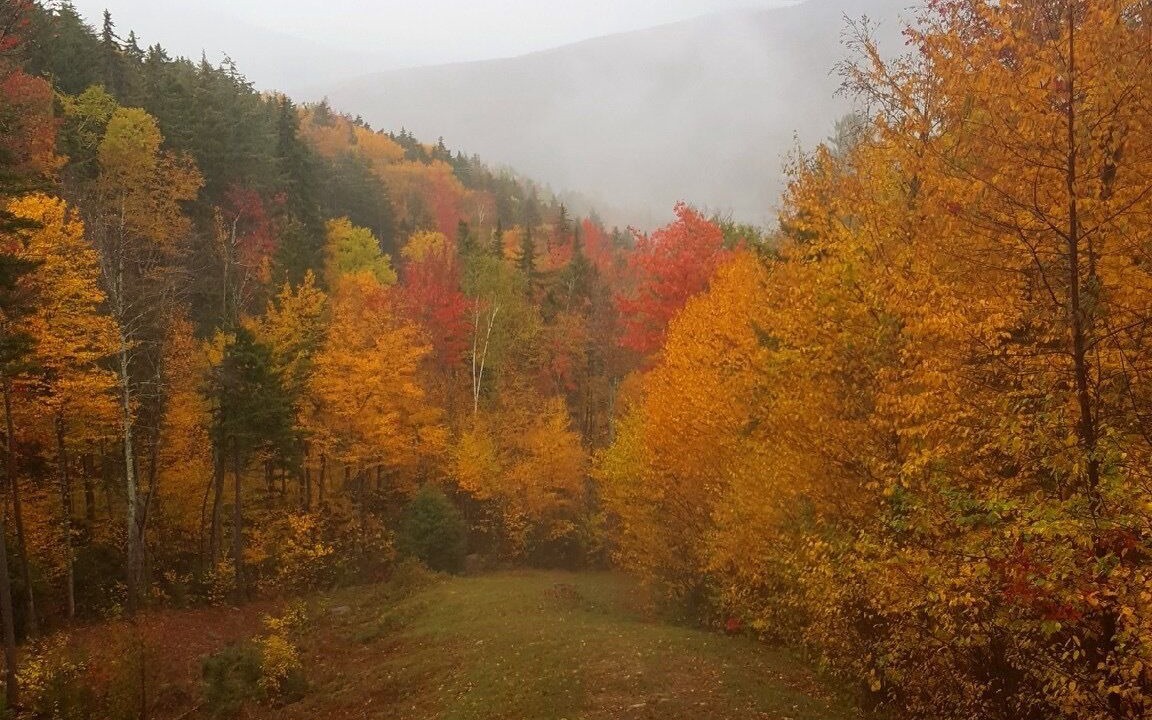 Photo of Outdoor in Carroll