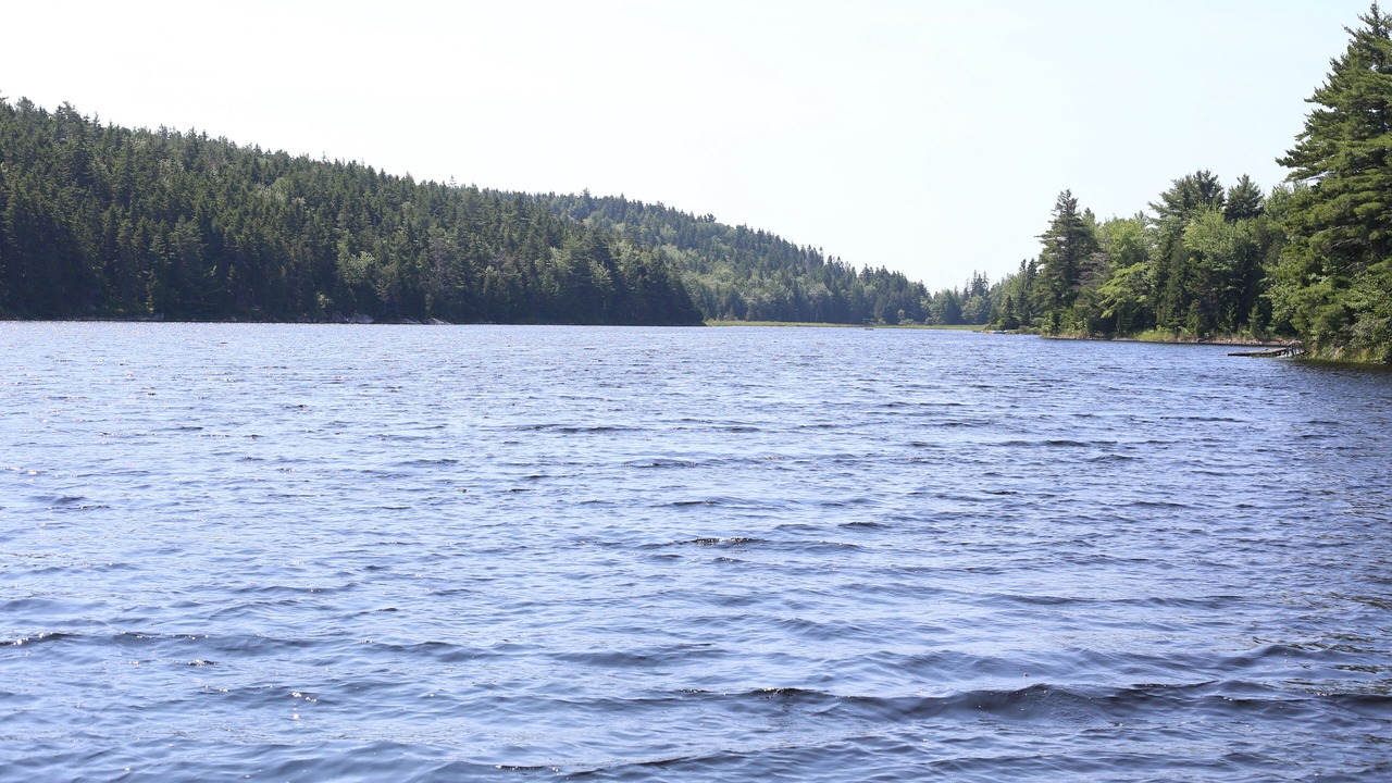 Photo of Others in Seal Cove