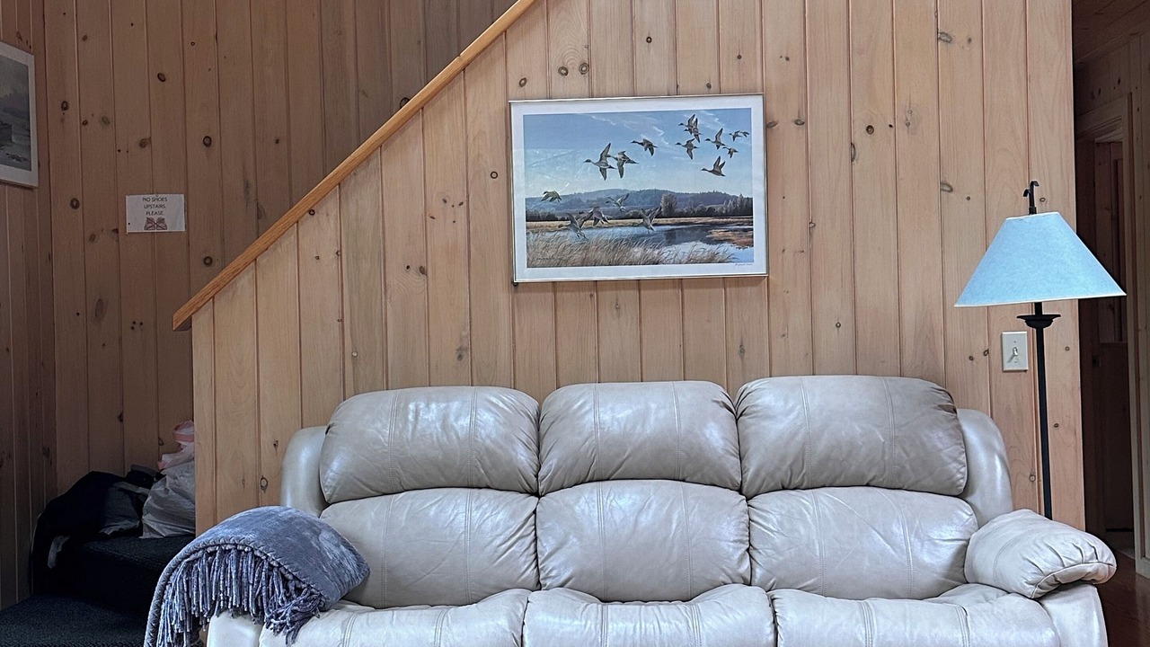 Photo of Others in Seal Cove