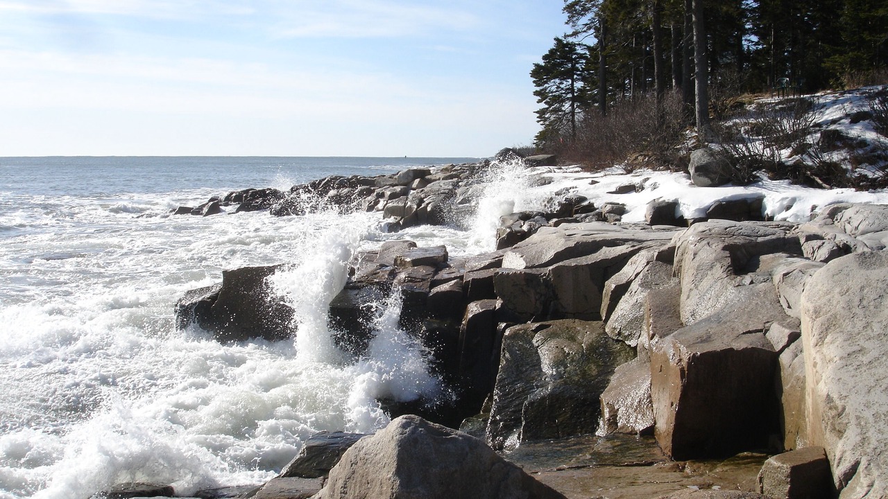 Photo of Others in Prospect Harbor
