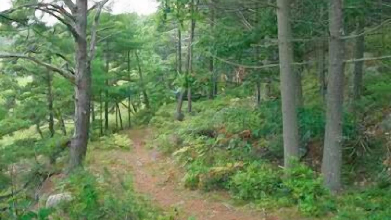 Photo of Outdoor in Arrowsic
