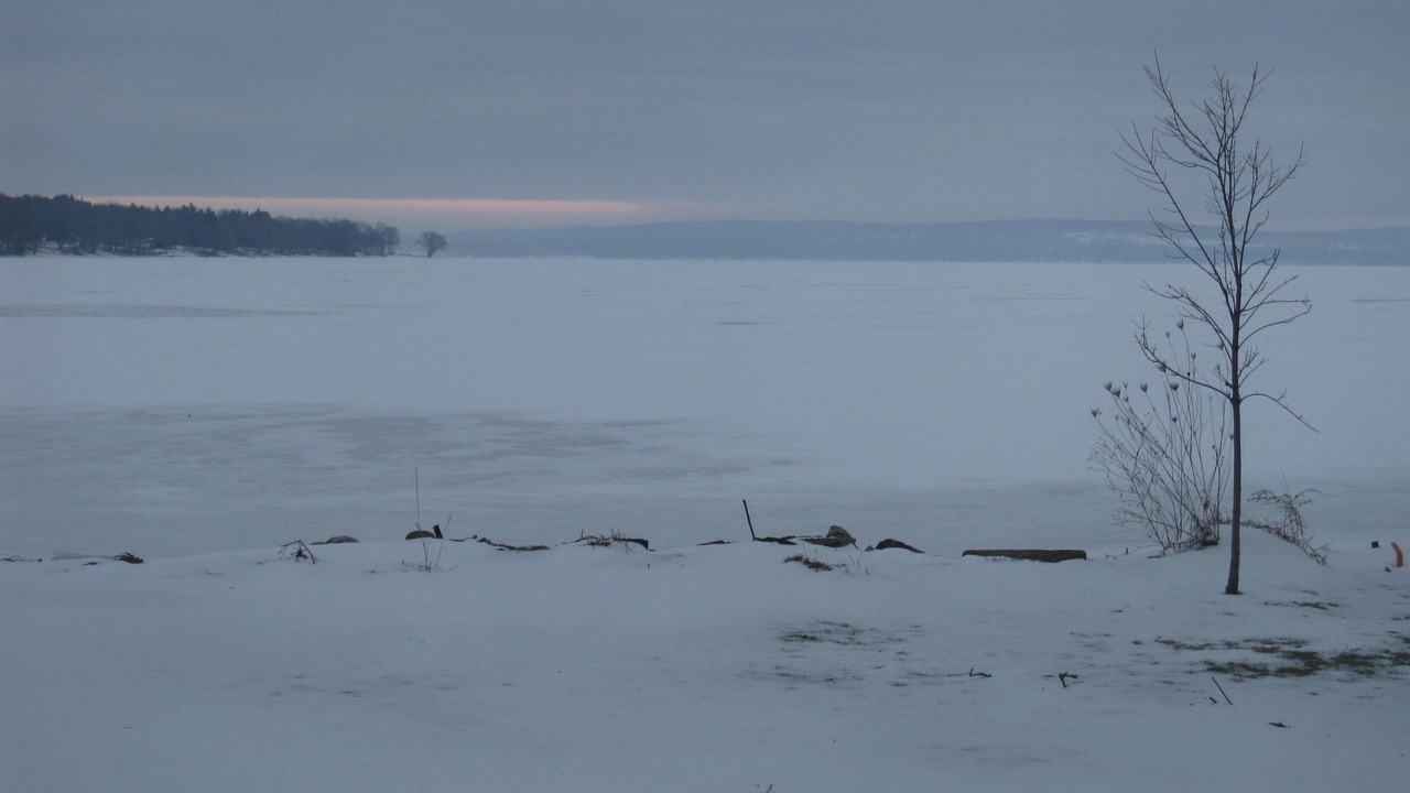 Photo of Others in Bemus Point