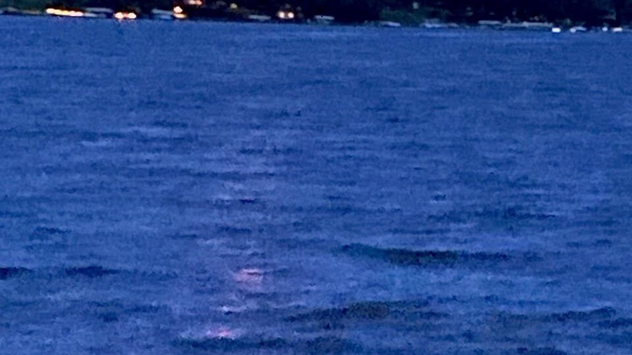 Photo of Others in Bemus Point