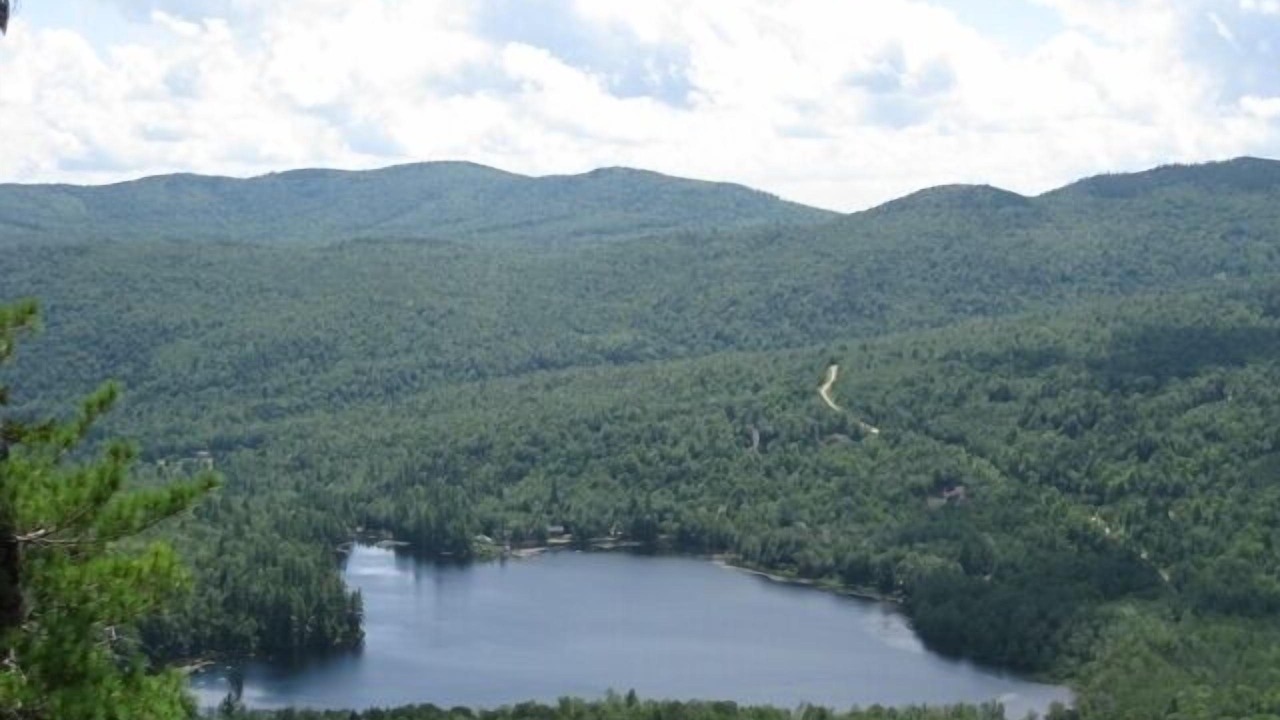 Photo of Others in Bryant Pond