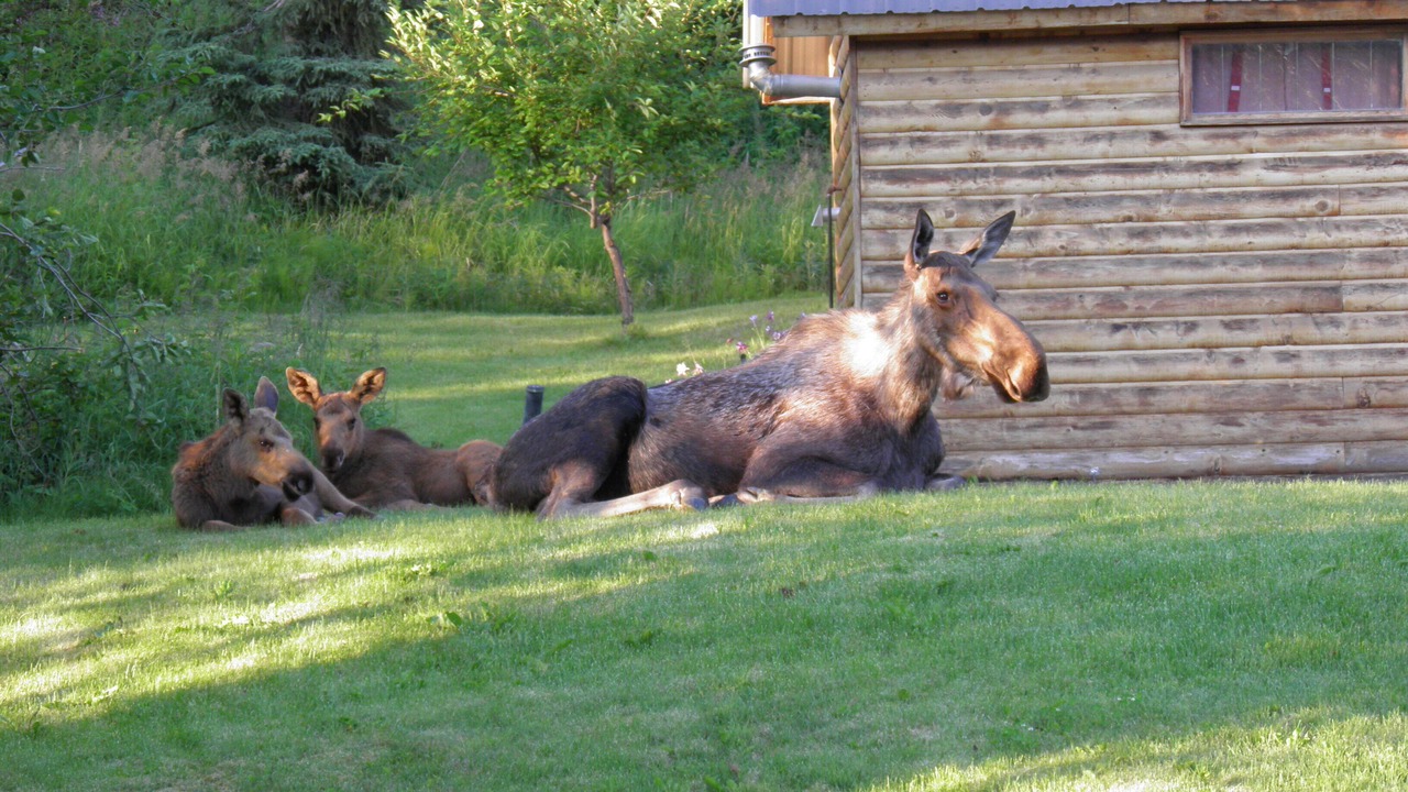 Photo of Others in Sterling