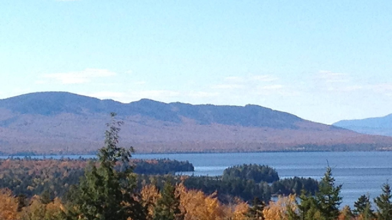 Photo of Others in Beaver Cove