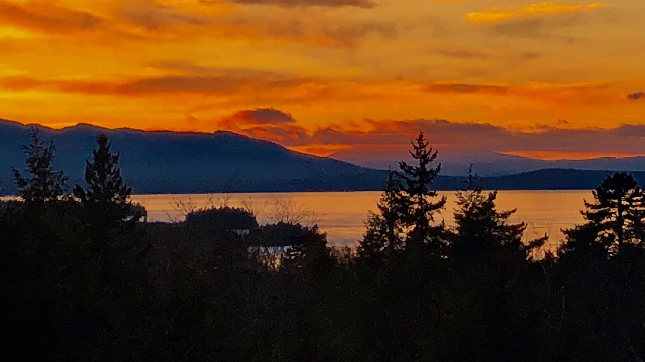 Photo of Others in Beaver Cove