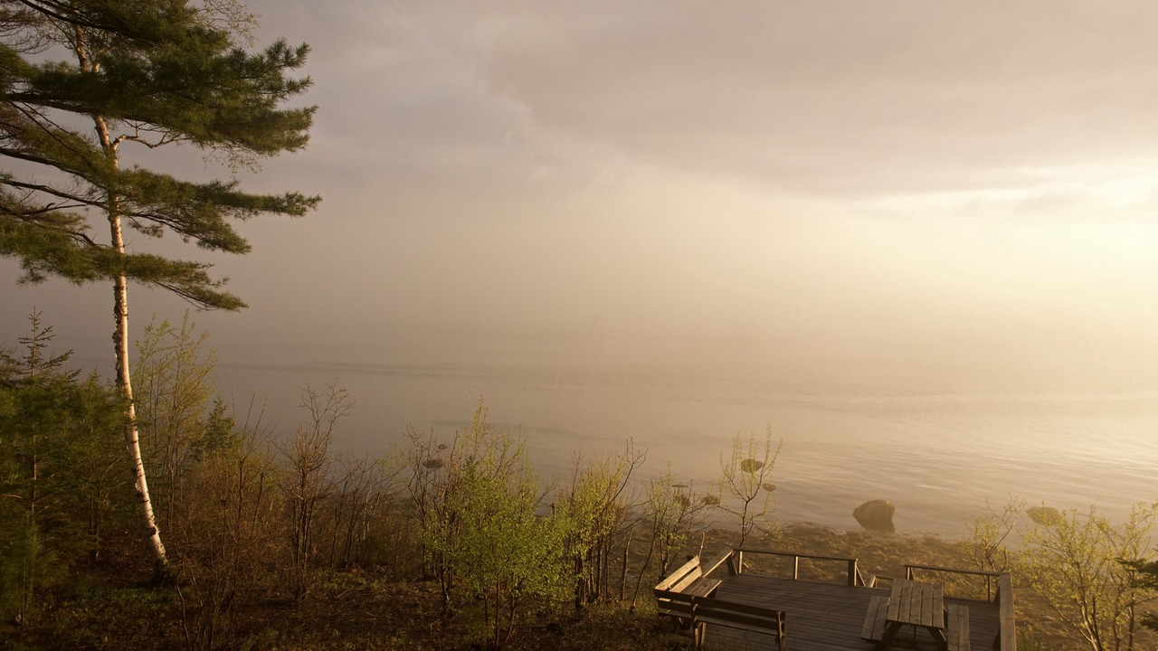 Photo of Others in Bar Harbor