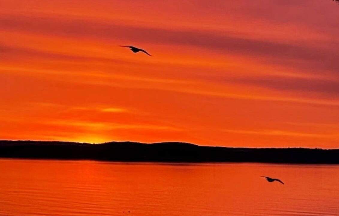 Photo of Others in Bar Harbor