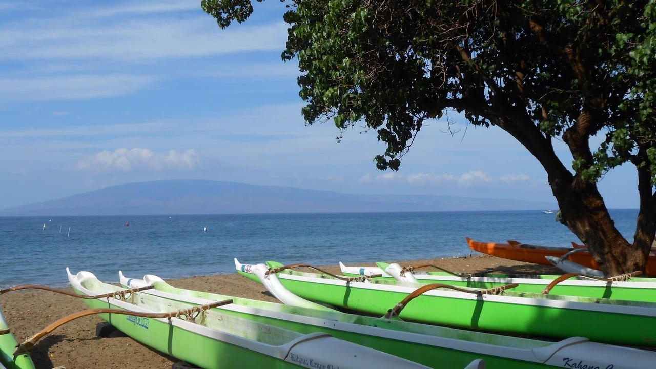 Photo of Outdoor in Honokowai