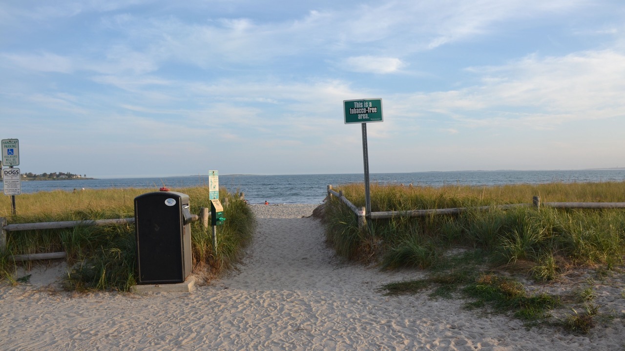 Photo of Others in Pine Point