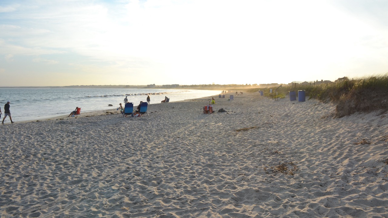 Photo of Others in Pine Point
