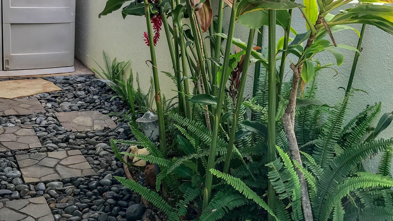 Photo of Others in Kihei