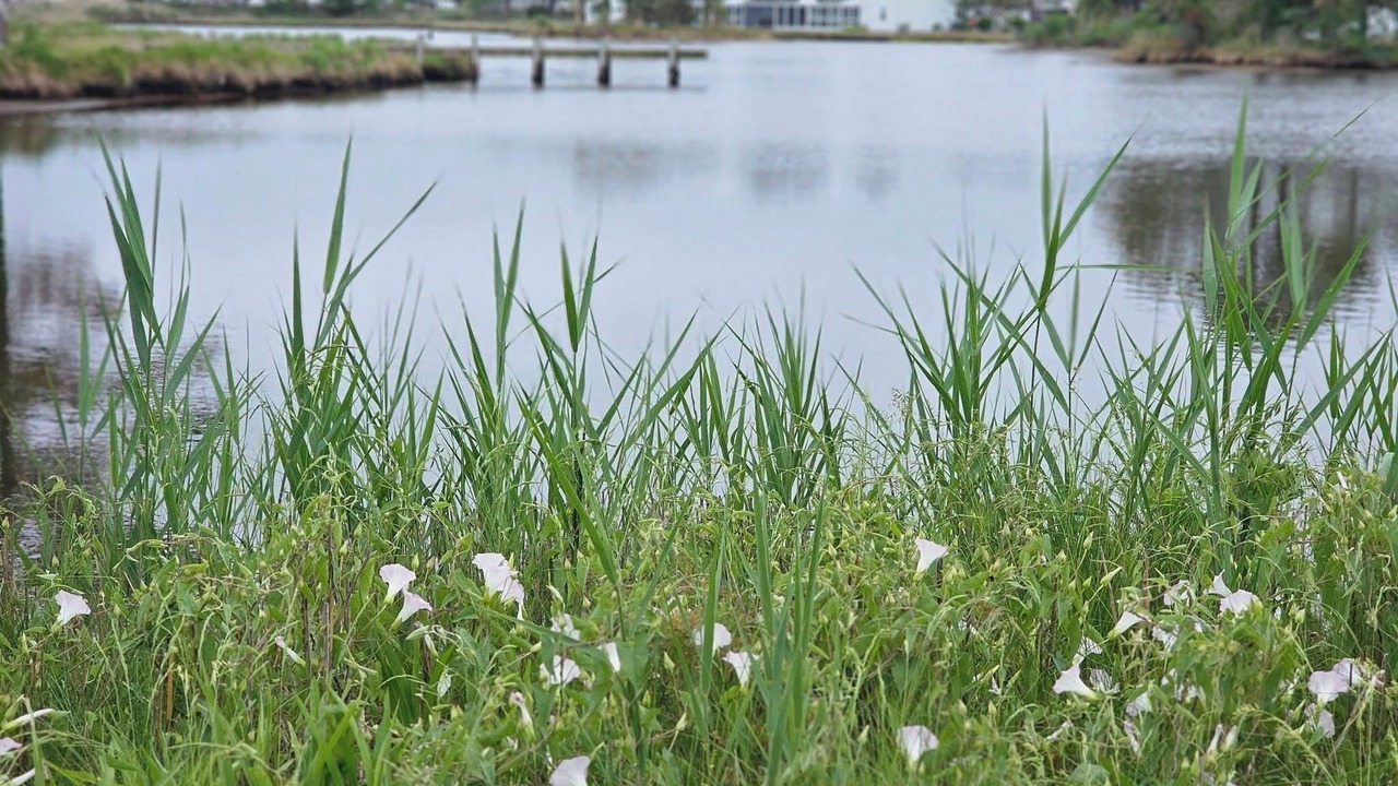 Photo of Others in Selbyville