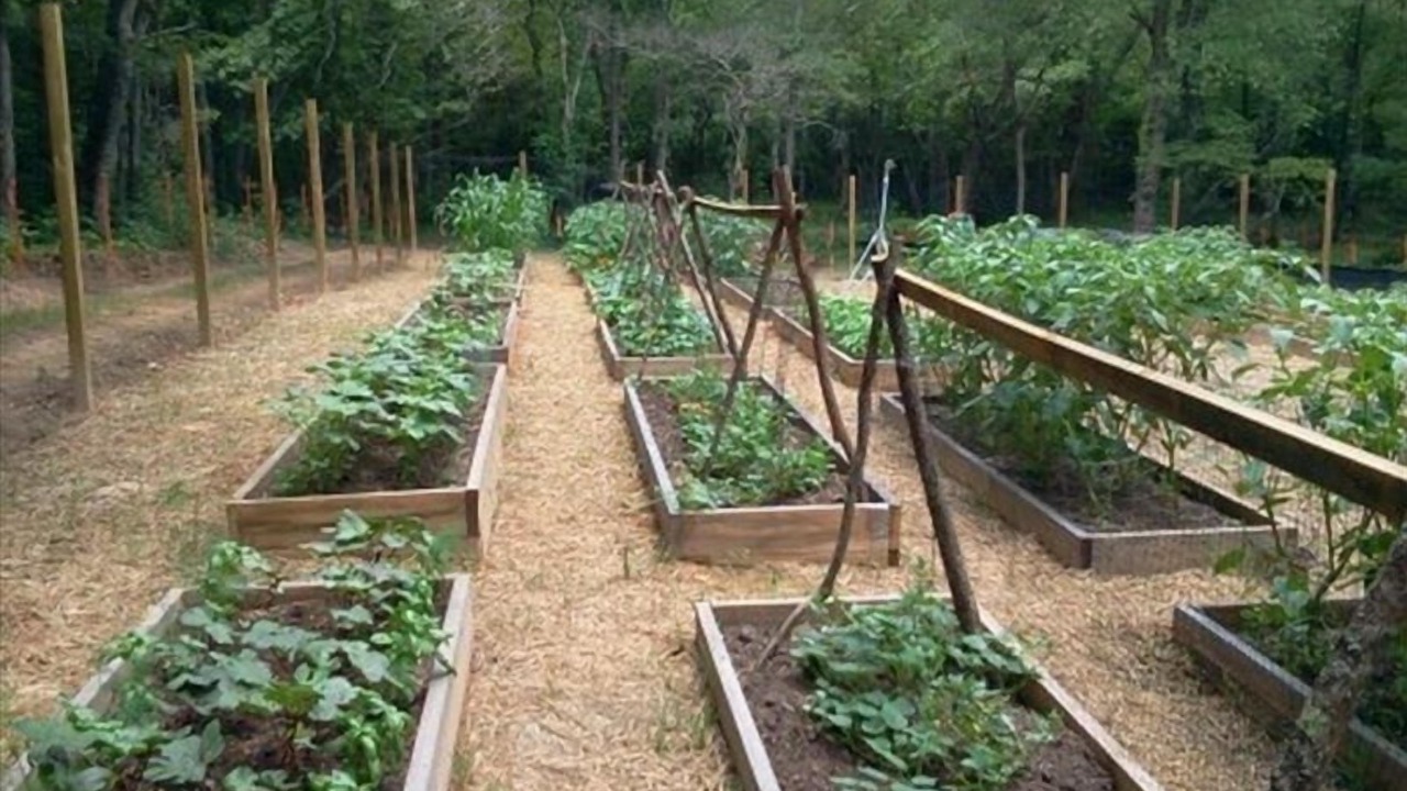 Photo of Outdoor in Blairsville