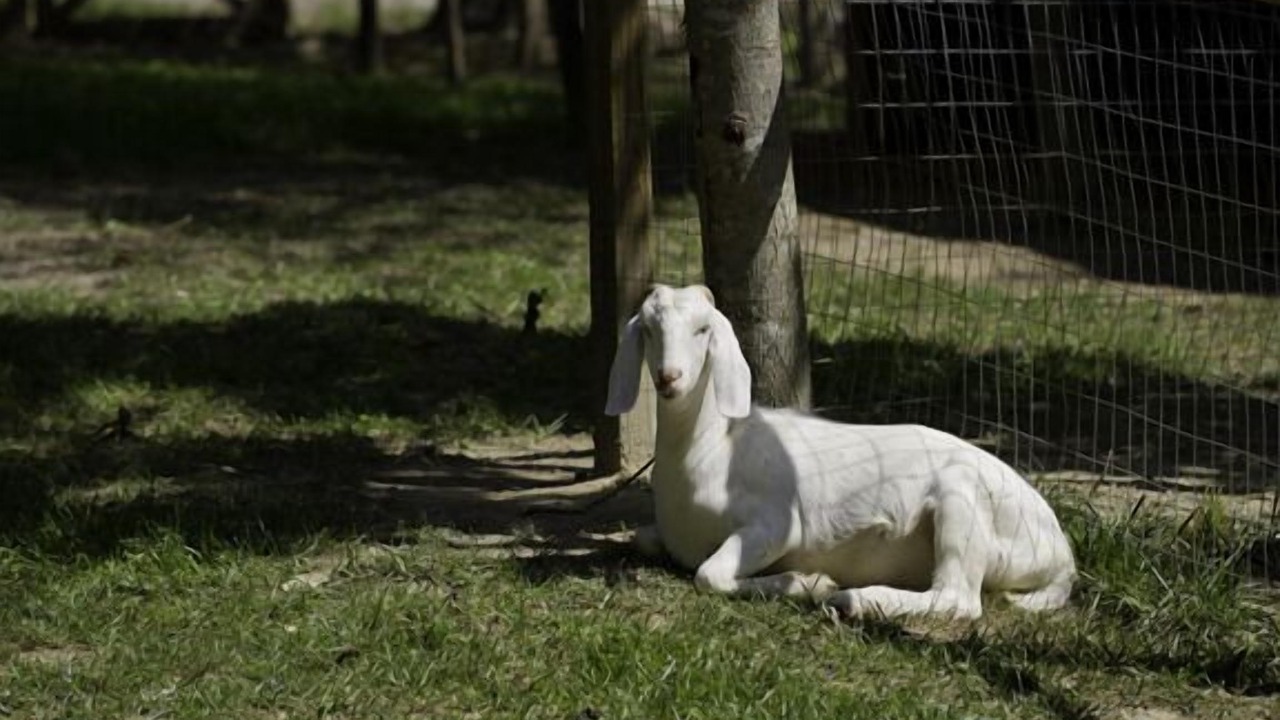 Photo of Others in Blairsville