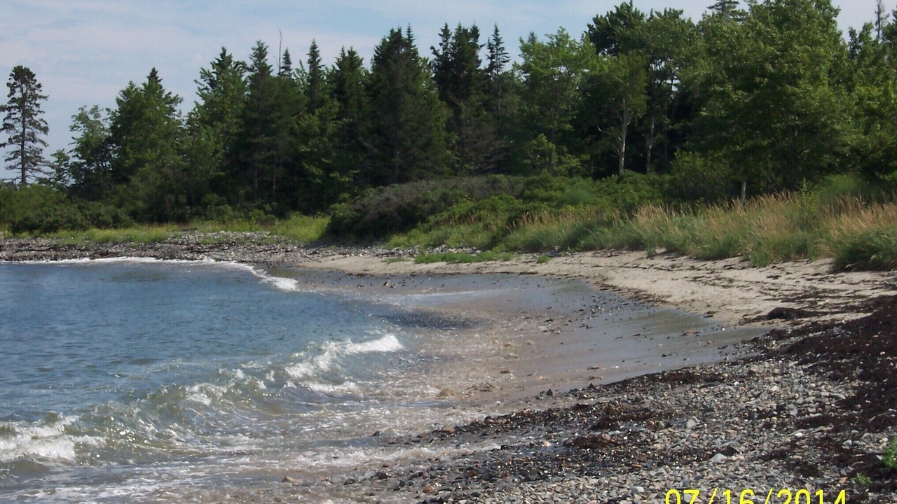 Photo of Others in Seawall