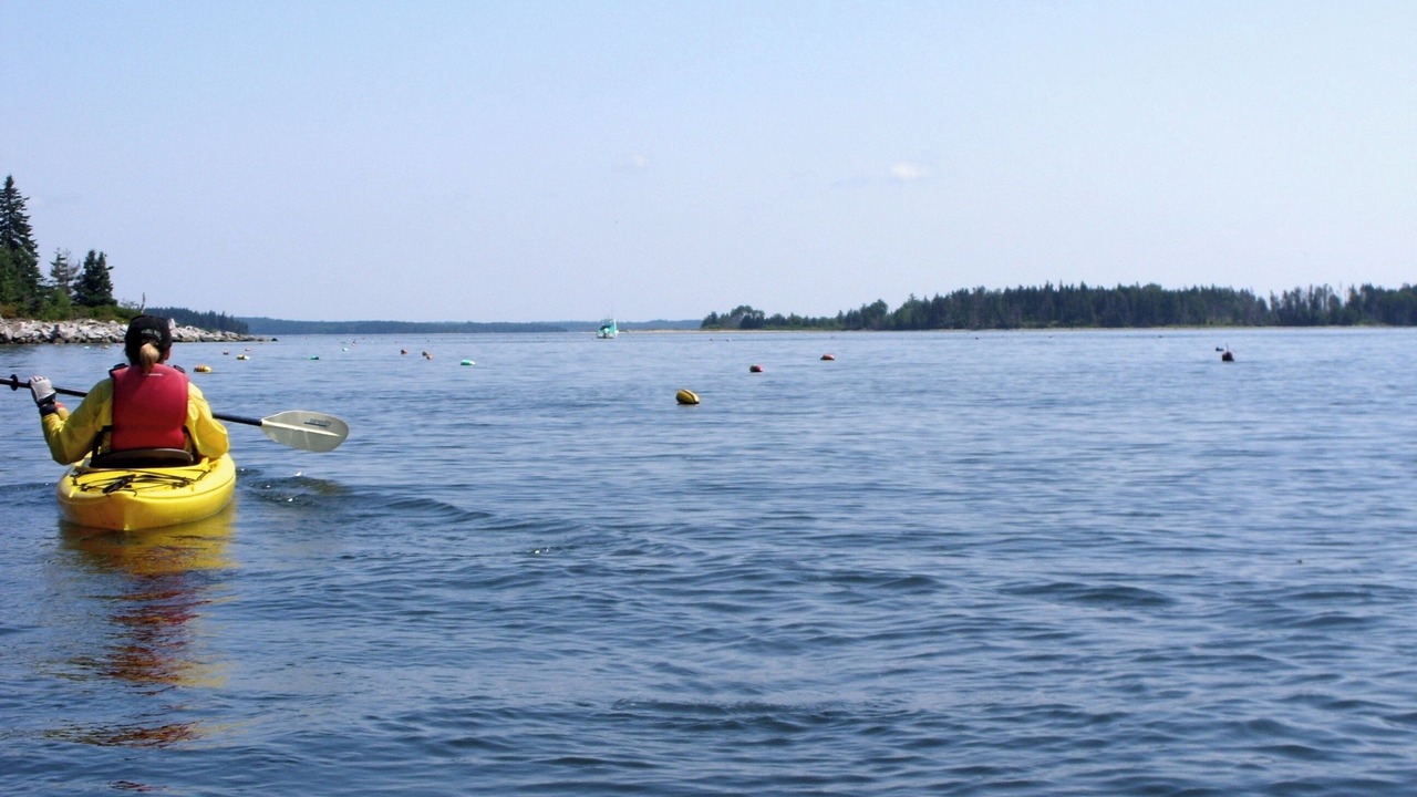 Photo of Others in Pemaquid Point