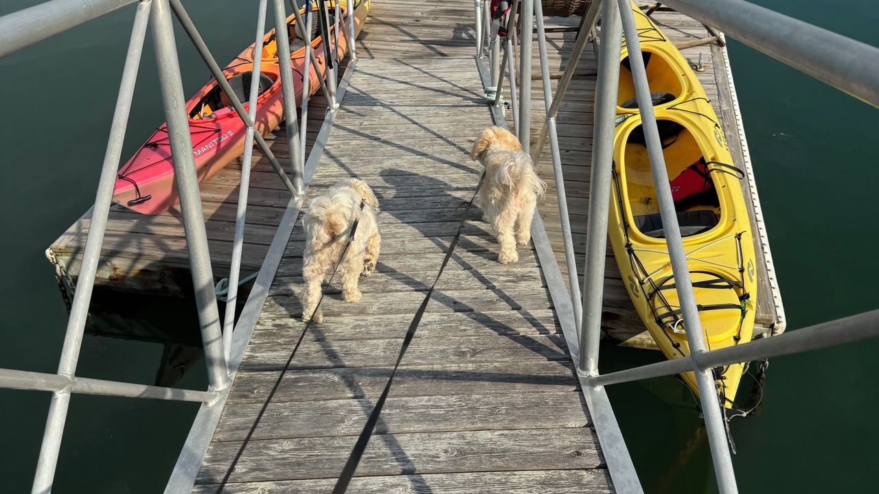 Photo of Outdoor in Yarmouth