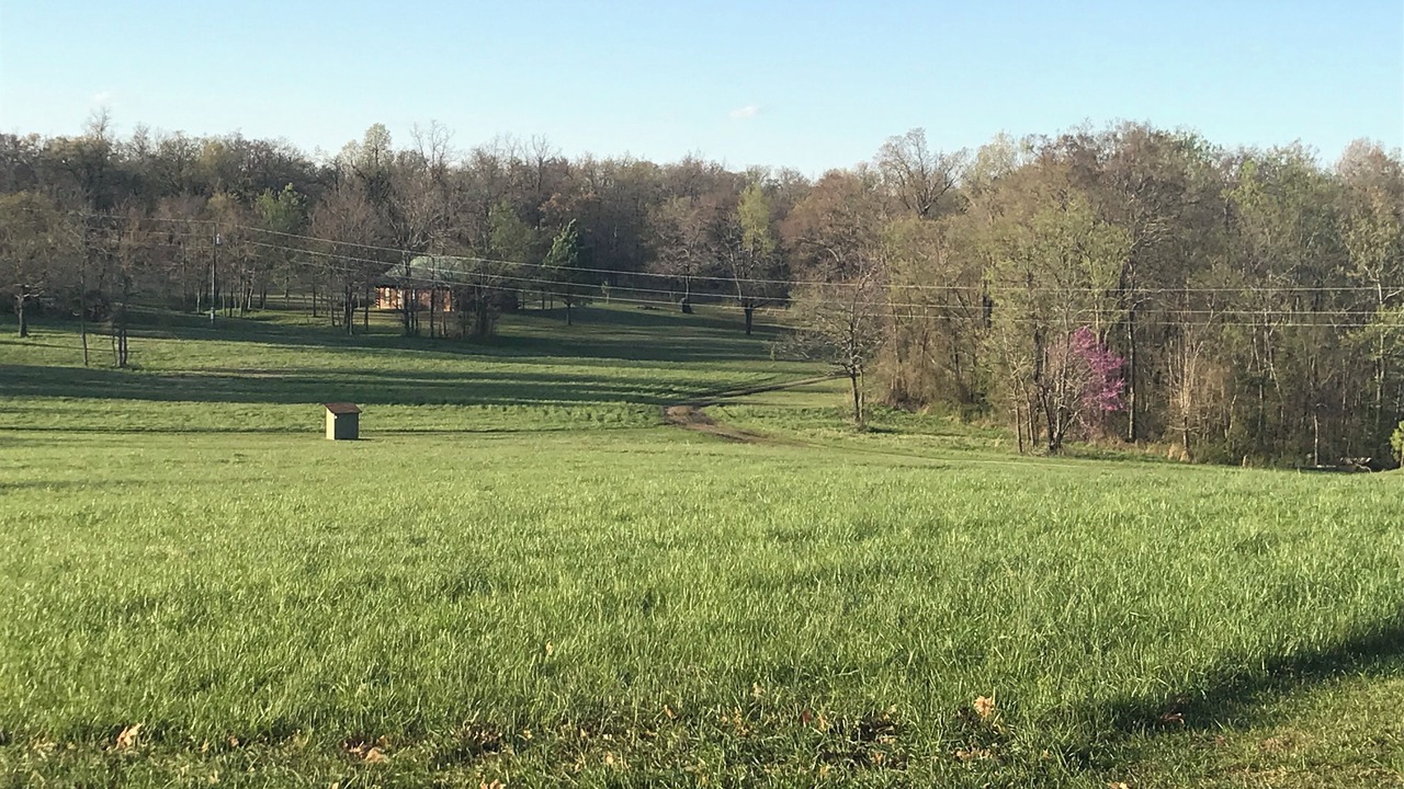 Photo of Others in Pettit