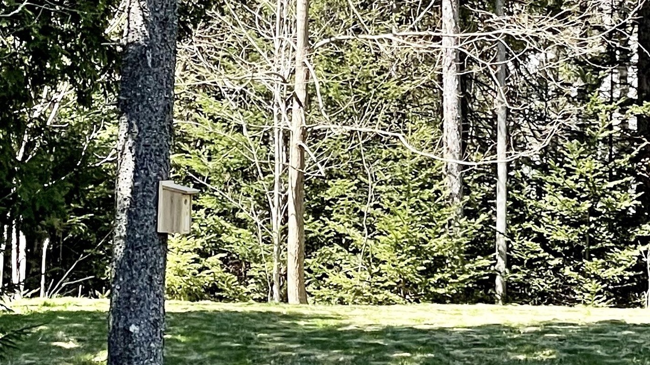 Photo of Outdoor in West Tremont