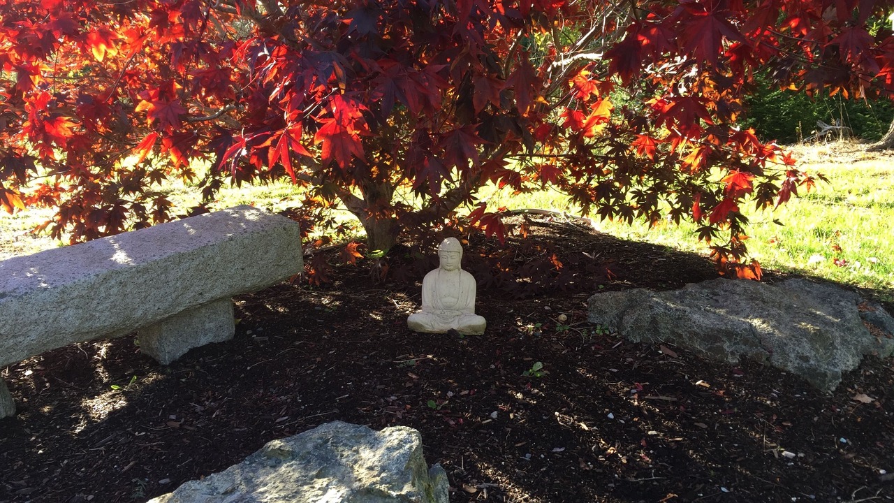 Photo of Outdoor in West Tremont