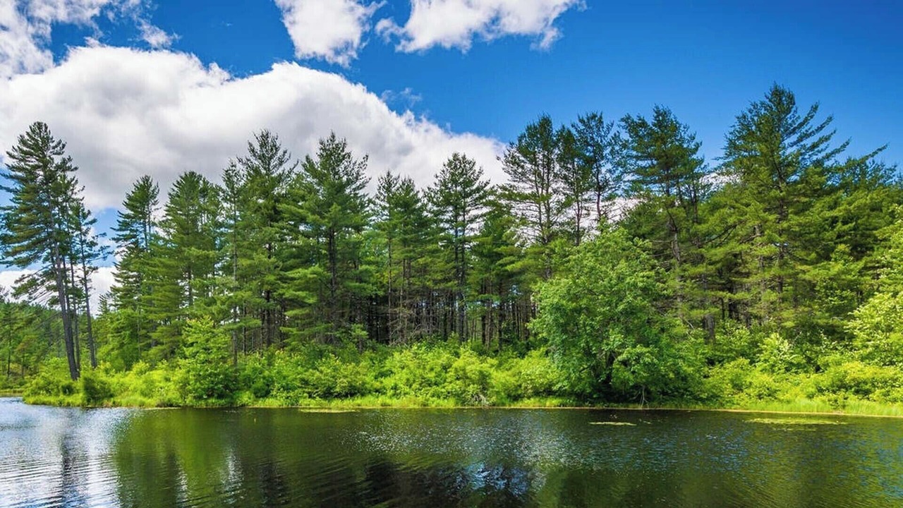 Photo of Outdoor in Sullivan