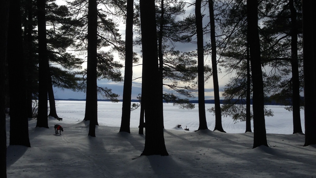 Photo of Outdoor in South Casco