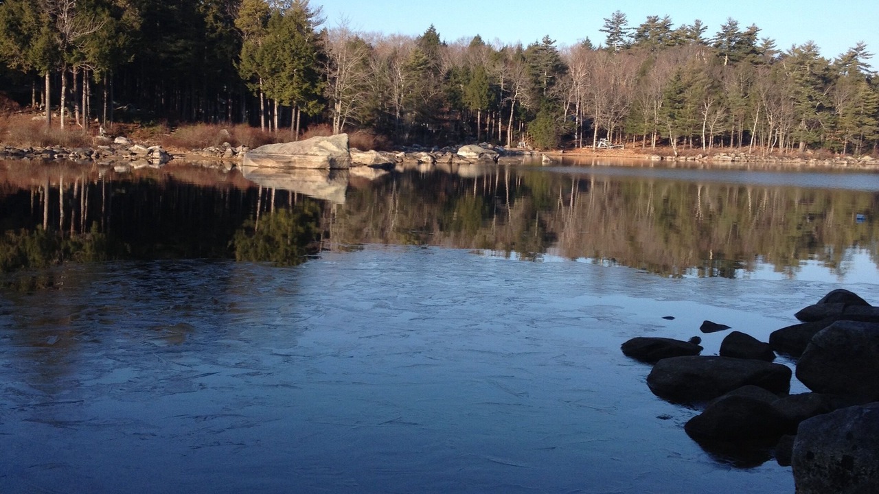 Photo of Outdoor in South Casco