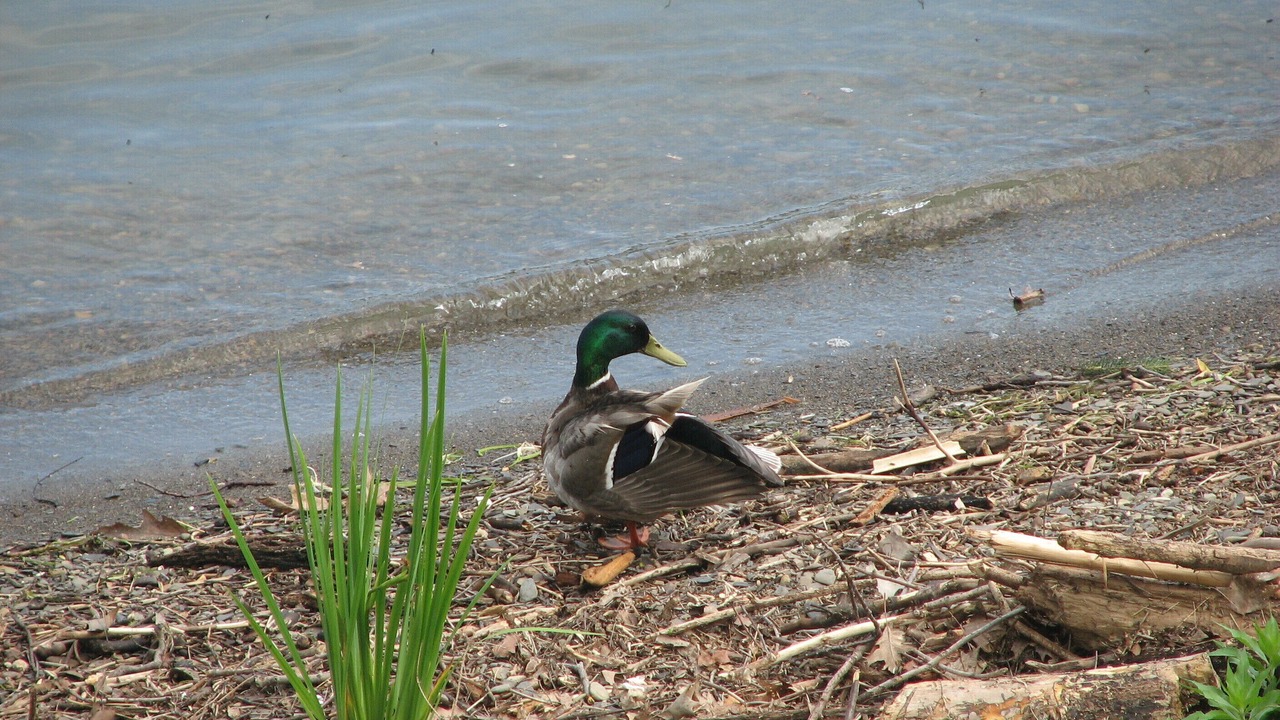 Photo of Others in Hammondsport