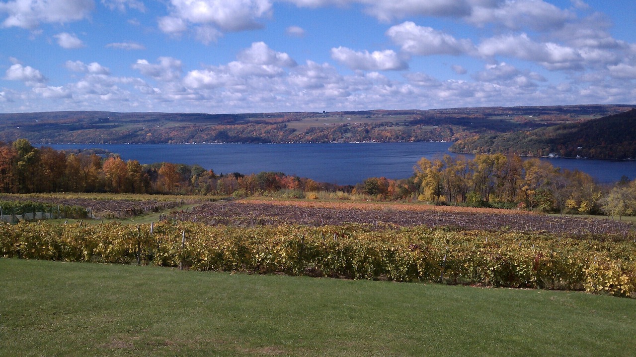 Photo of Outdoor in Hammondsport