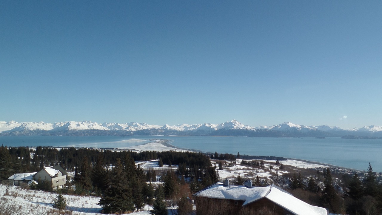 Photo of Others in Homer