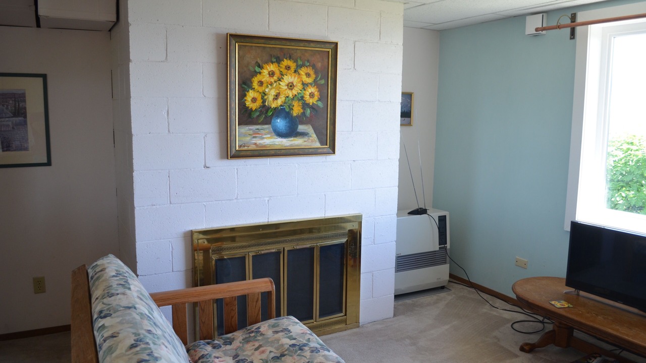Photo of Livingroom in Homer