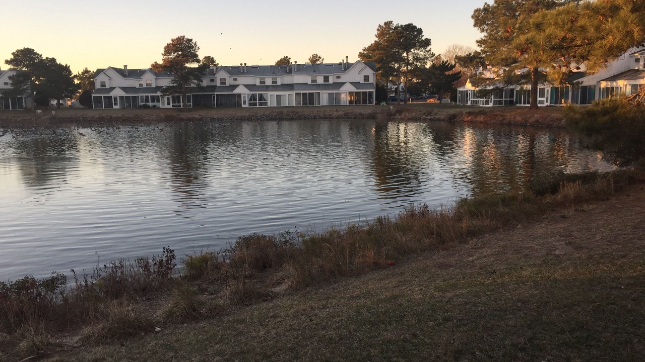 Photo of Outdoor in Selbyville