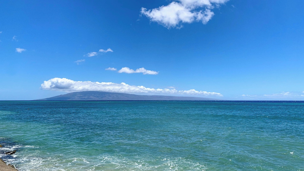 Photo of Others in Kahana