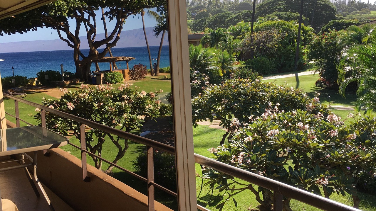 Photo of Others in Kaanapali
