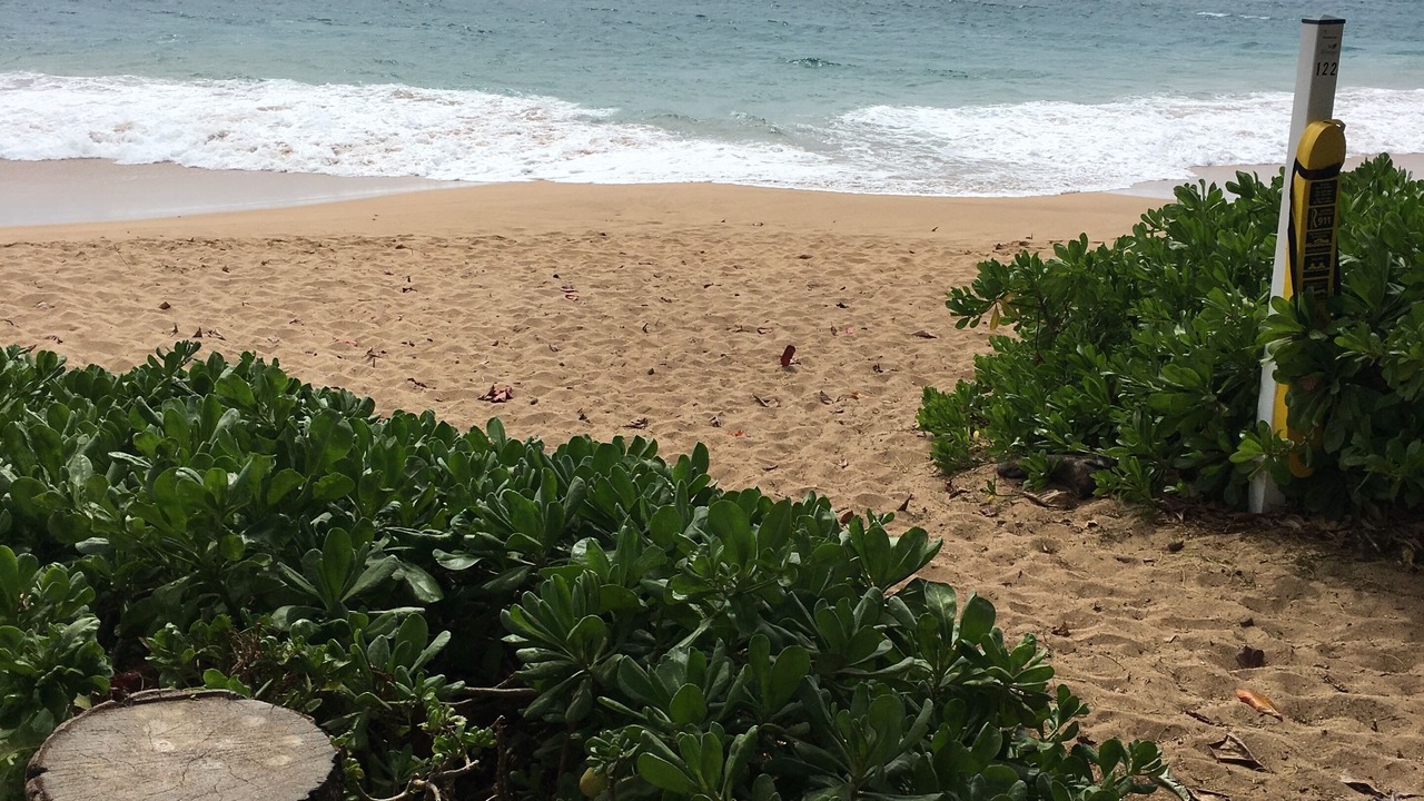 Photo of Others in Kaanapali